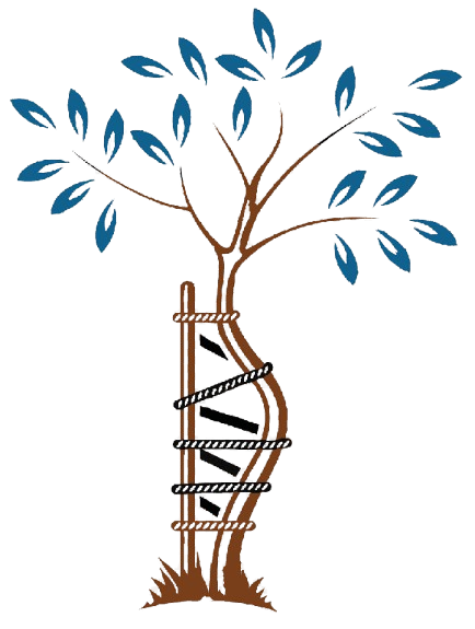png clipart orthopedic surgery surgeon symbol symbol miscellaneous leaf removebg preview